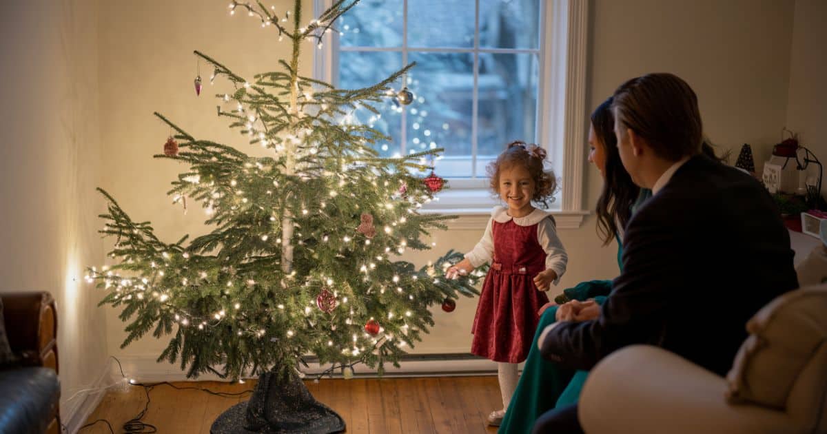 The Forgotten Christmas Tree