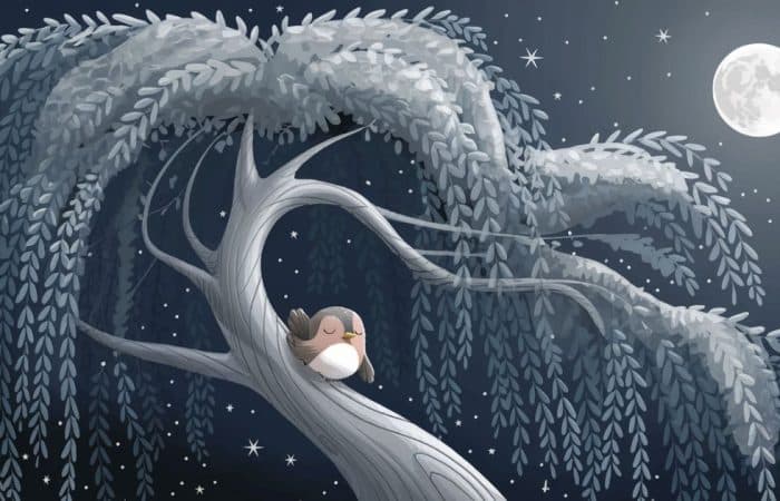 The Whispering Willow's Lullaby